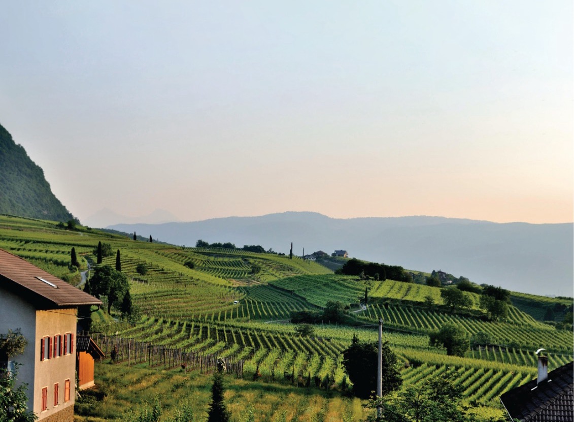 How Geography Shapes Your Wine 